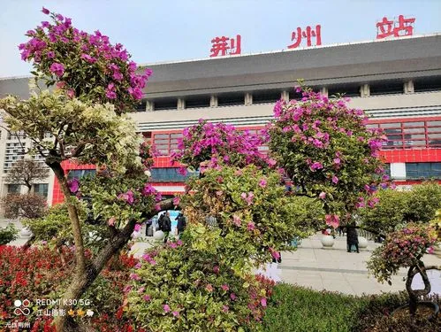 義烏市到荊州物流專線-義烏市至荊州貨運(yùn)公司