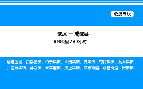武漢到成武縣物流專(zhuān)線(xiàn)-武漢至成武縣貨運(yùn)公司